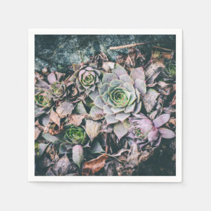 Succulent Dreams Napkin
