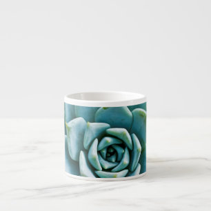 Succulent Espresso Cup