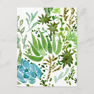 Succulent Field I Postcard