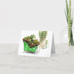 Succulent Filled Sleigh Holiday Greeting Card
