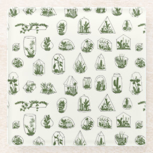 Succulent Florarium: Vintage Geometric Design. Glass Coaster