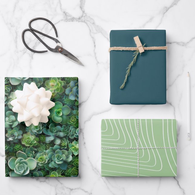 Succulent Flower Plant Pattern Green Colour Set Wrapping Paper Sheet (Front)