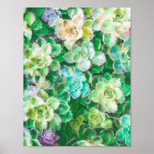 Succulent Garden by Cindy Bendel Poster