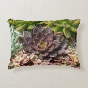 succulent garden decorative cushion