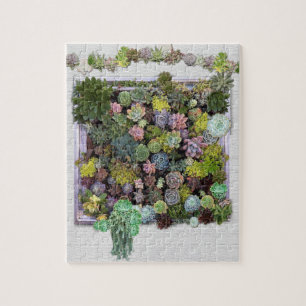 Succulent garden design jigsaw puzzle