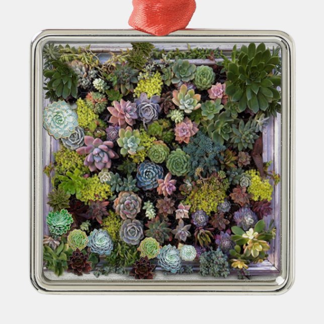 Succulent garden design metal tree decoration (Front)