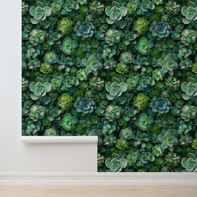 Succulent garden flora green pattern wallpaper (Application)