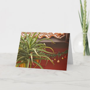 Succulent garden greeting card: Happy Aloedays! Holiday Card