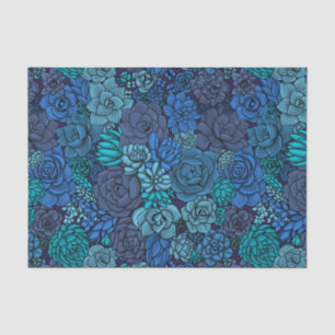 Succulent garden in blue tissue paper
