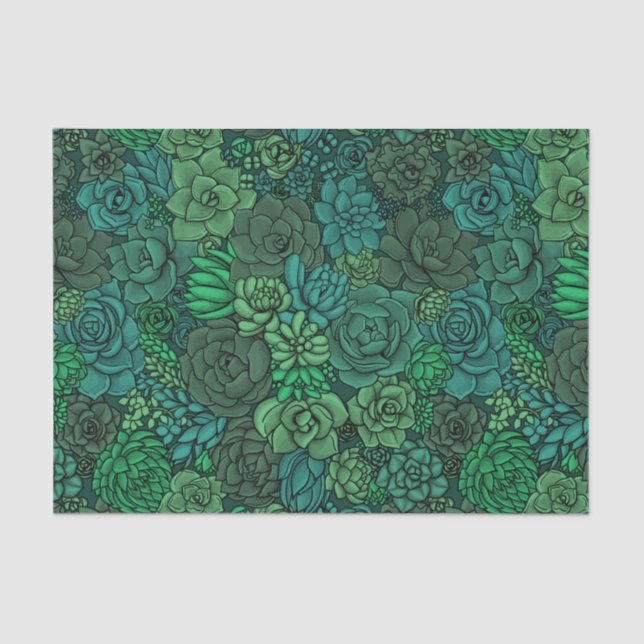 Succulent garden in green tissue paper (Front)