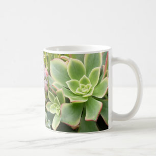Succulent garden mug