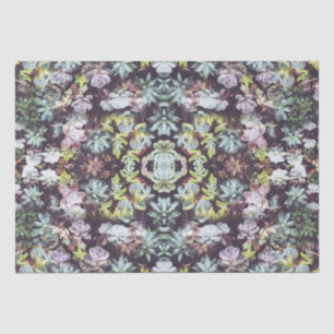 Succulent Garden Plants Photo Pattern Tissue Paper