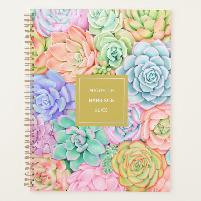 Succulent Garden Watercolor Cute Colourful Pastel Planner (Front)