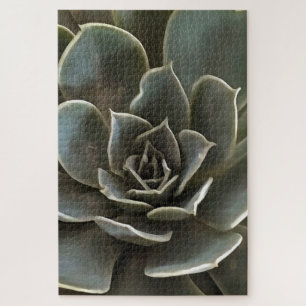 Succulent Green Grey Tones Jigsaw Puzzle