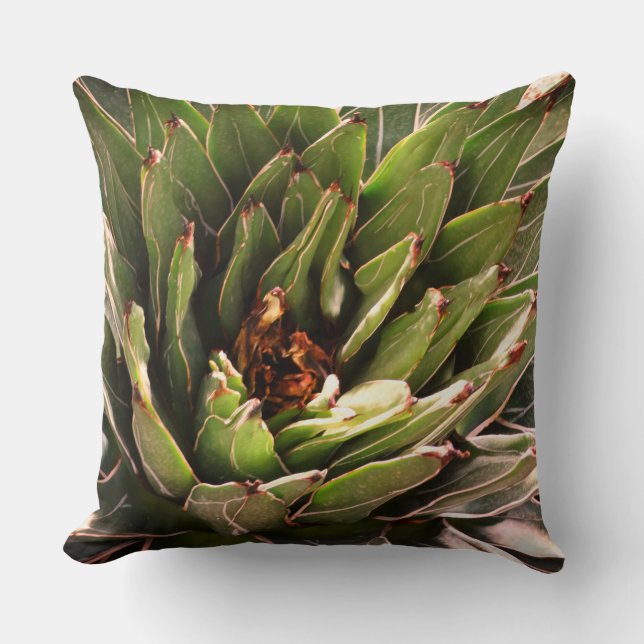 Succulent Green Plant Aloe Botanical Photography  Cushion (Front)