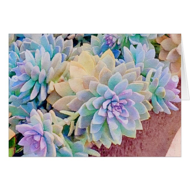 Succulent greeting card  (Front Horizontal)
