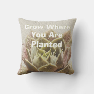 Succulent Grow Where You Are Planted Pillow
