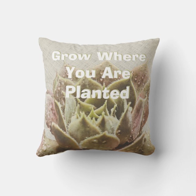 Succulent Grow Where You Are Planted Pillow (Back)