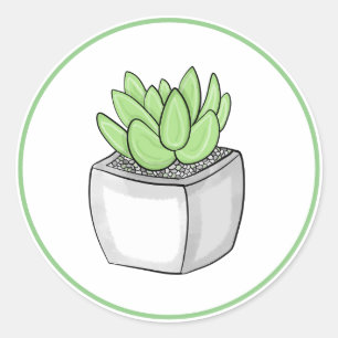 Succulent Hand Drawn Houseplant Art  Classic Round Sticker