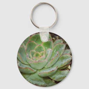 Succulent, Hen and Chicks Key Ring