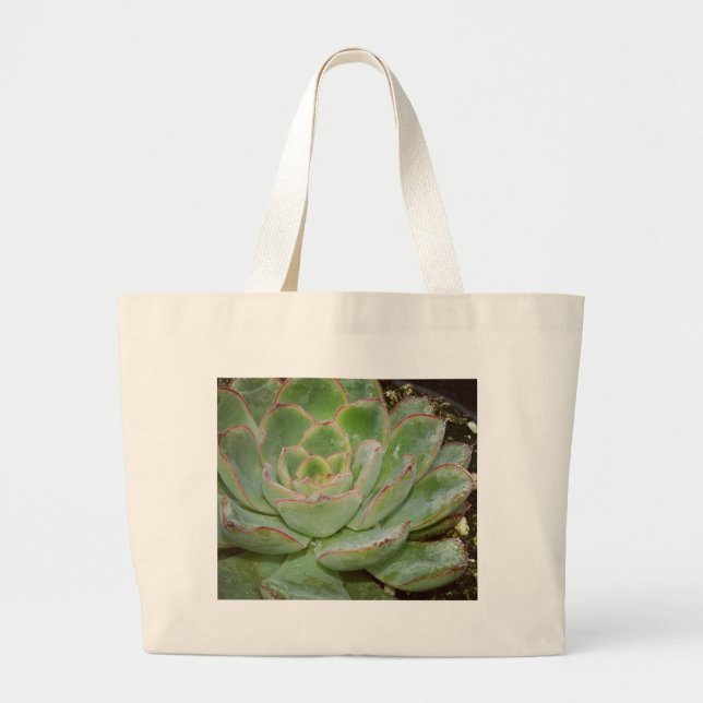 Succulent, Hen and Chicks Large Tote Bag (Front)