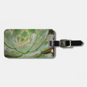 Succulent, Hen and Chicks Luggage Tag