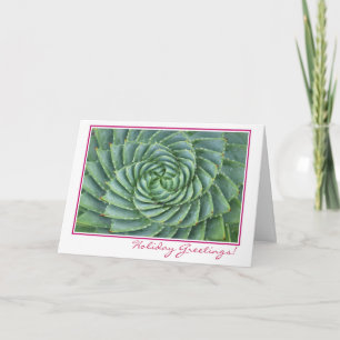 Succulent Holiday Card
