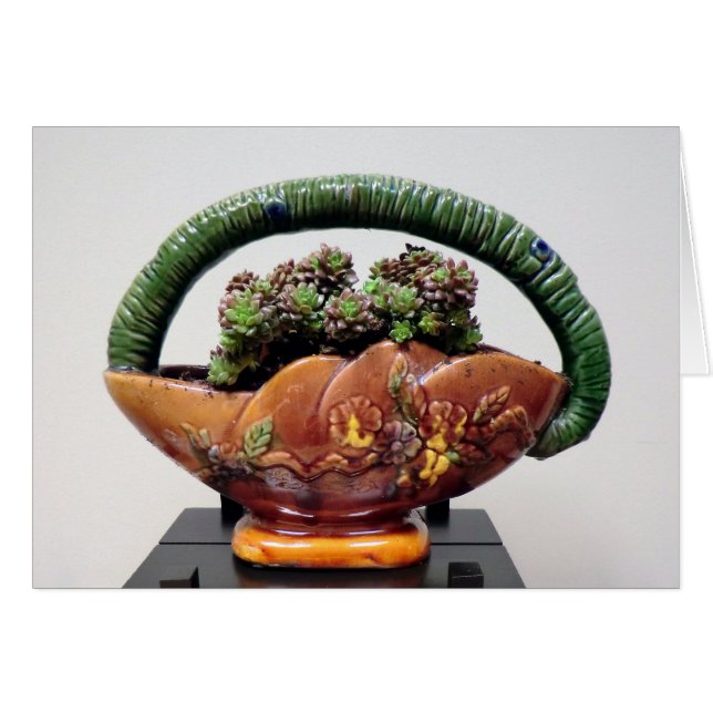 Succulent in Basket by Succulent Designs (Front Horizontal)