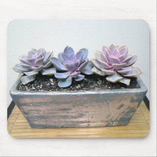 Succulent in Silver Mouse Mat