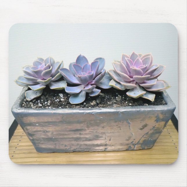 Succulent in Silver Mouse Mat (Front)