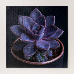 Succulent jigsaw puzzle