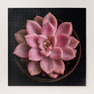 Succulent jigsaw puzzle