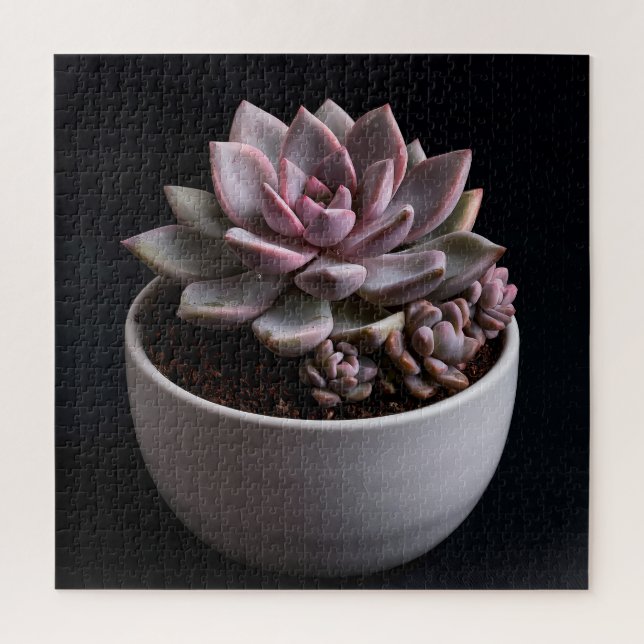 Succulent  jigsaw puzzle (Vertical)