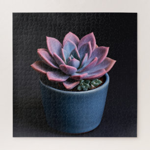Succulent jigsaw puzzle