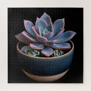 Succulent jigsaw puzzle