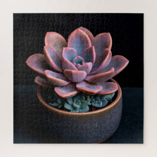 Succulent jigsaw puzzle