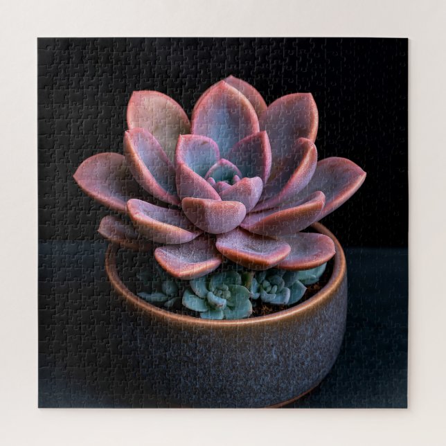 Succulent  jigsaw puzzle (Vertical)