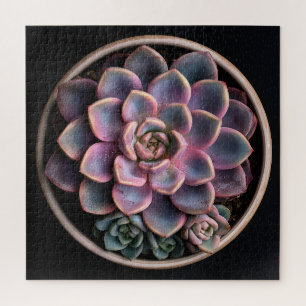 Succulent jigsaw puzzle