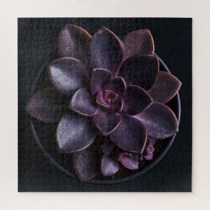 Succulent jigsaw puzzle