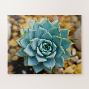 Succulent Jigsaw Puzzle