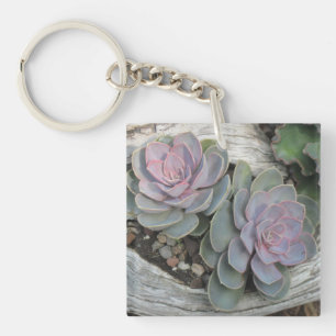 Succulent Key Chain