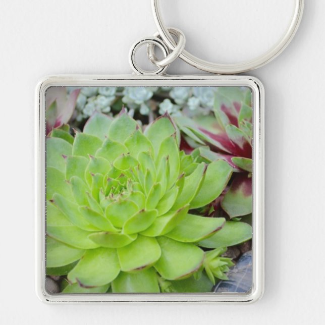 Succulent Key Chain (Front)