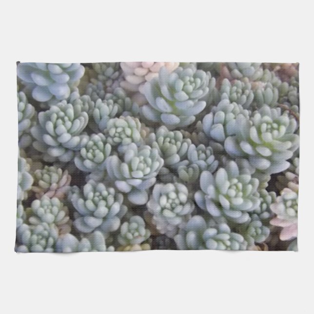 Succulent Kitchen Towel (Horizontal)