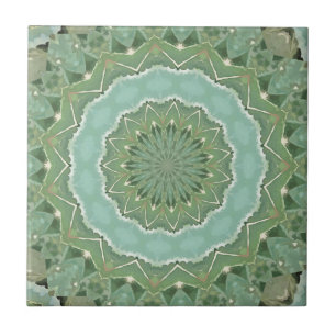 Succulent Mandala Tile