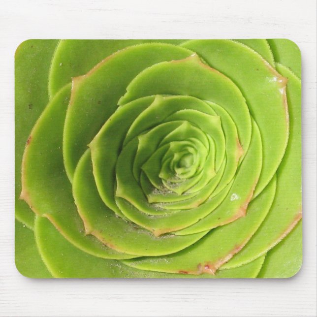 Succulent Mouse Mat (Front)
