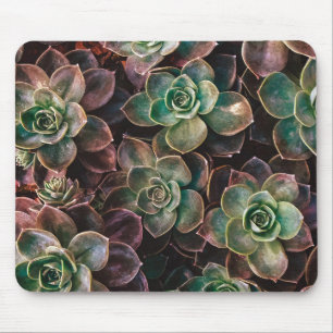 Succulent Mouse Mat