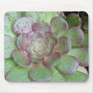 Succulent Mouse Mat