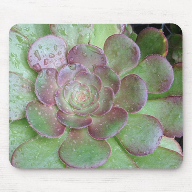 Succulent Mouse Mat (Front)
