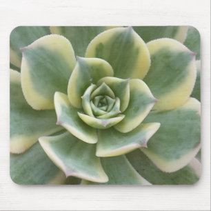 Succulent Mouse Mat