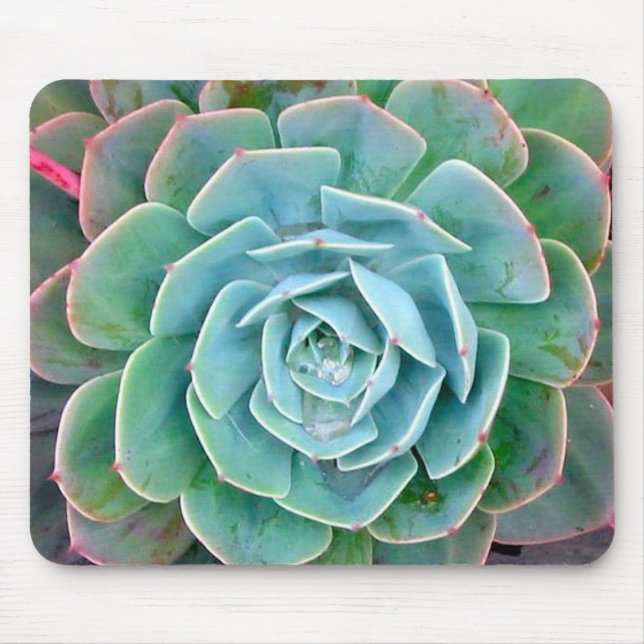 Succulent Mouse Mat (Front)